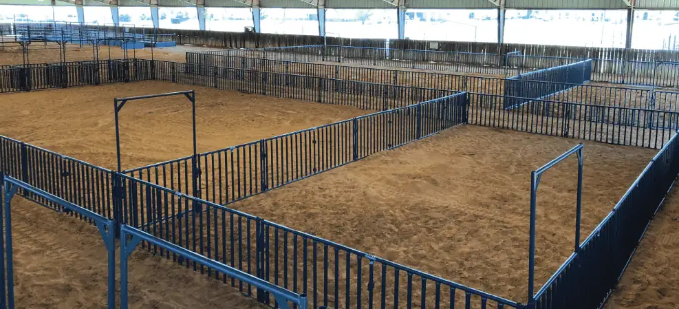 Finished show arena interior at Denton ISD, equipment set and ready for animals